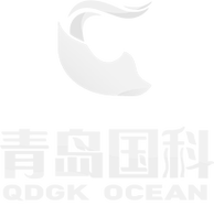 描述