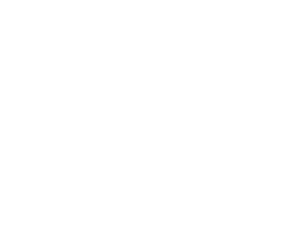 描述