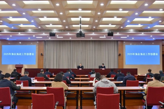 图片1@1x
